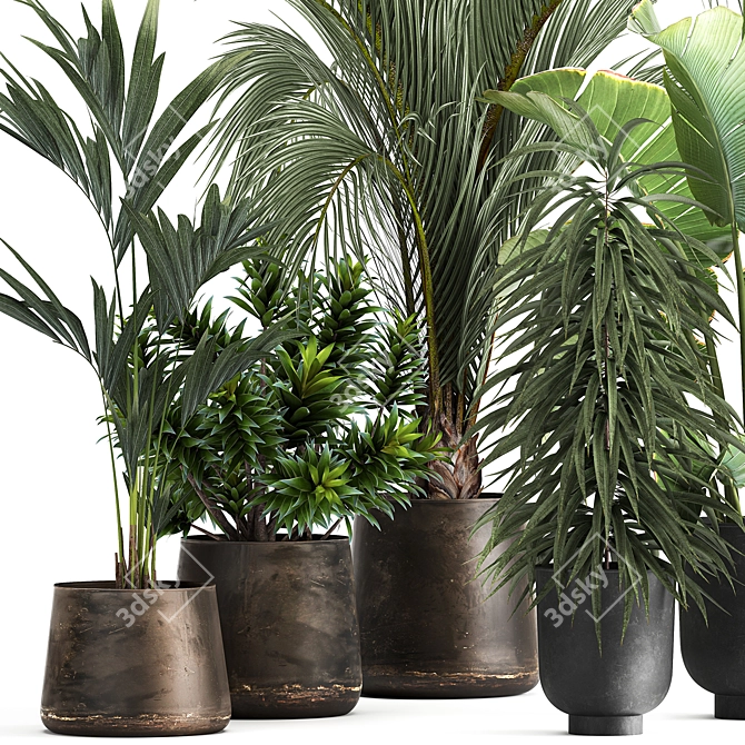 Tropical Plant Collection in Metal Vases 3D model image 2