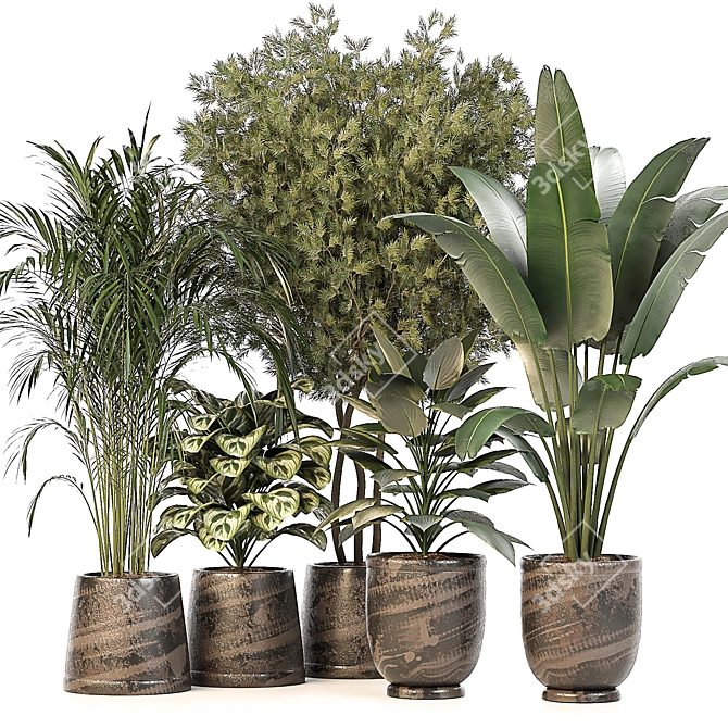 Green Oasis: 5 Indoor Plants Set 3D model image 1