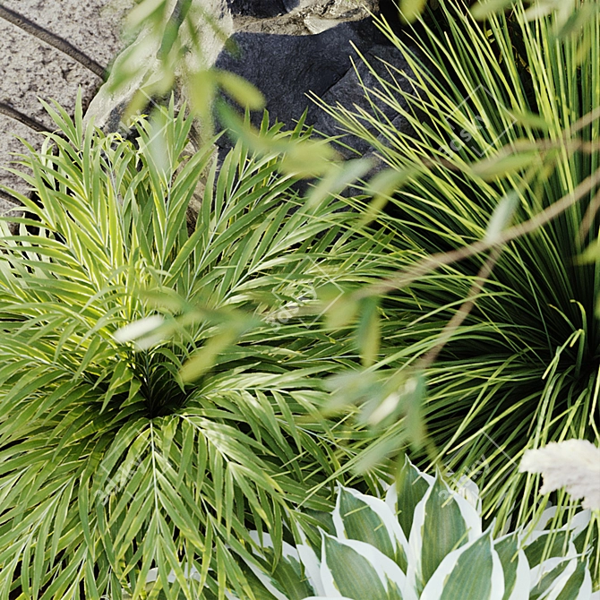 Nature-Inspired Outdoor Plant Set 3D model image 2