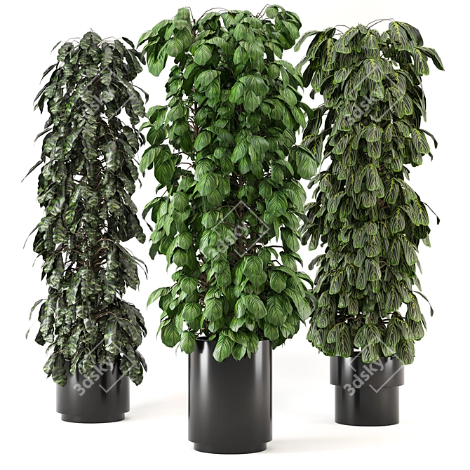 Lush Indoor Plants Set - 247 3D model image 1