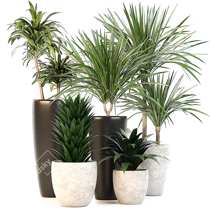 Lush Indoor Oasis: 10 Dracaena Set 3D model image 1