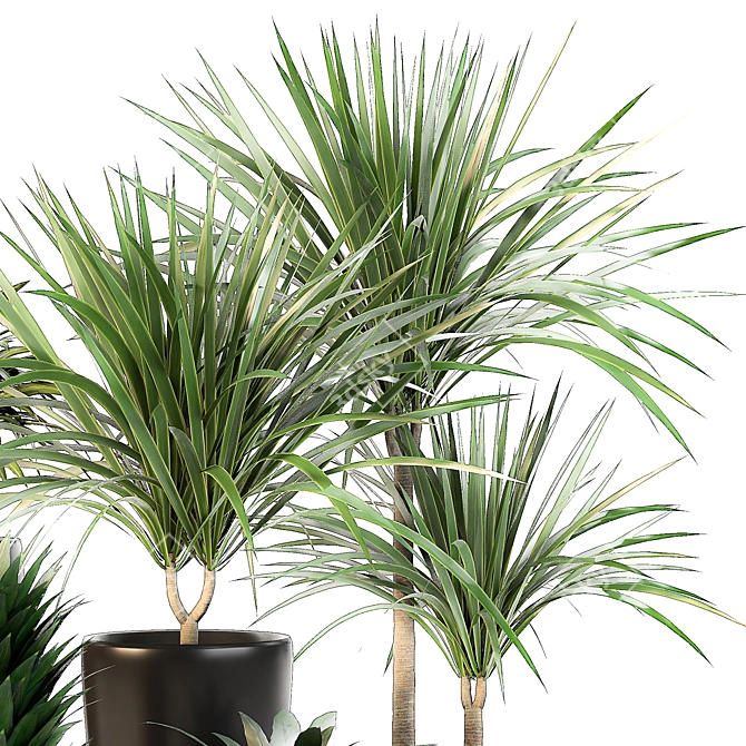 Lush Indoor Oasis: 10 Dracaena Set 3D model image 2