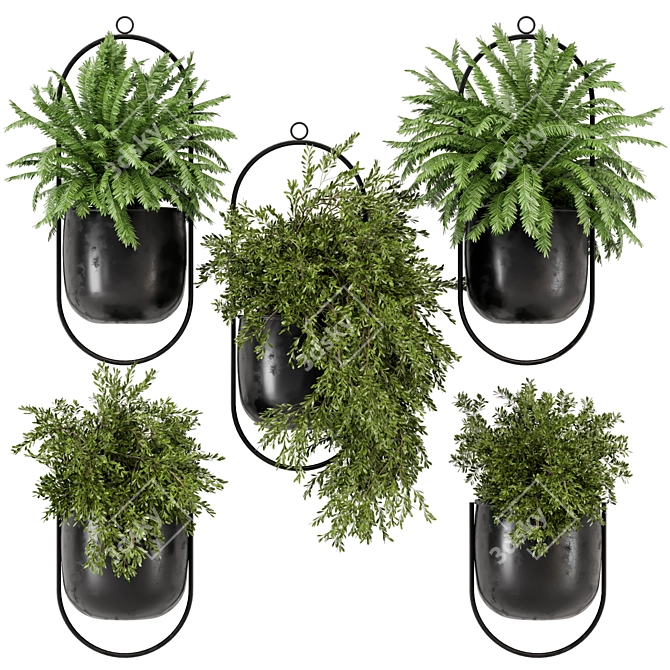 Modern Metal Hanging Plant Set 3D model image 1