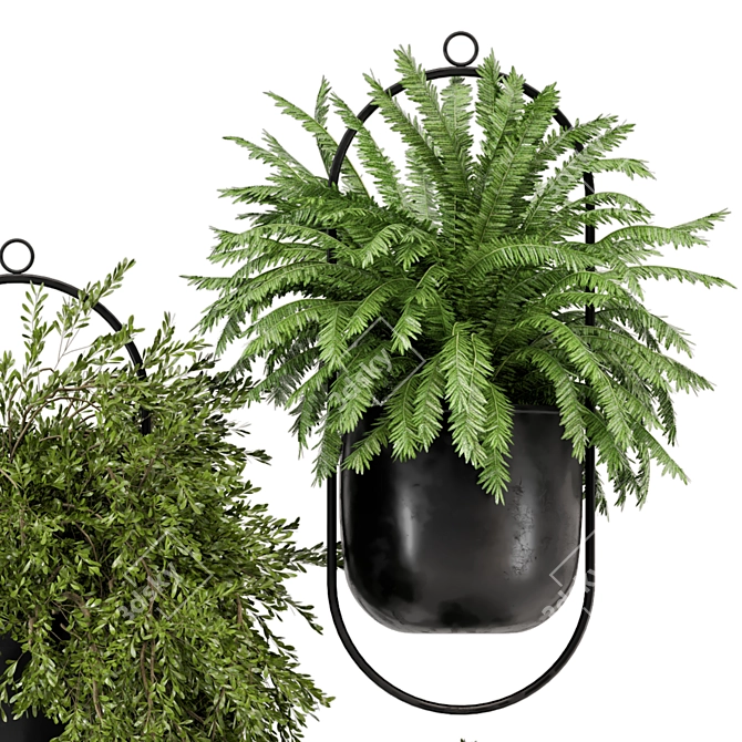 Modern Metal Hanging Plant Set 3D model image 2