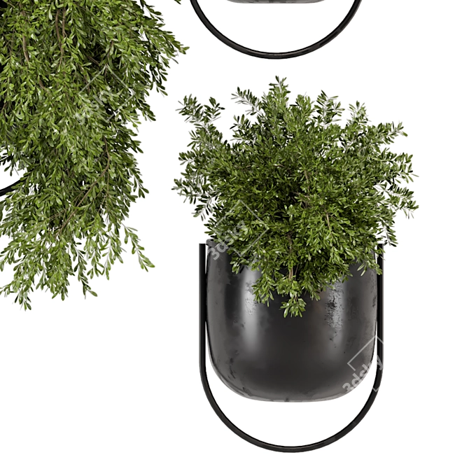 Modern Metal Hanging Plant Set 3D model image 5