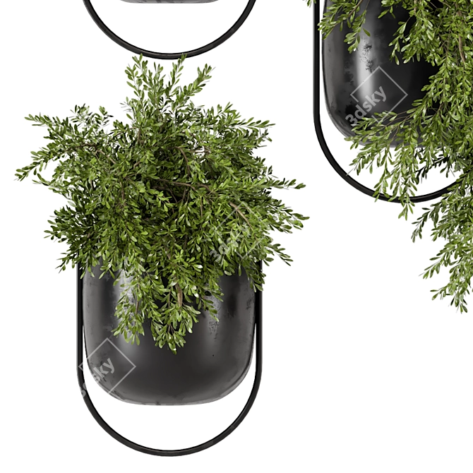 Modern Metal Hanging Plant Set 3D model image 6