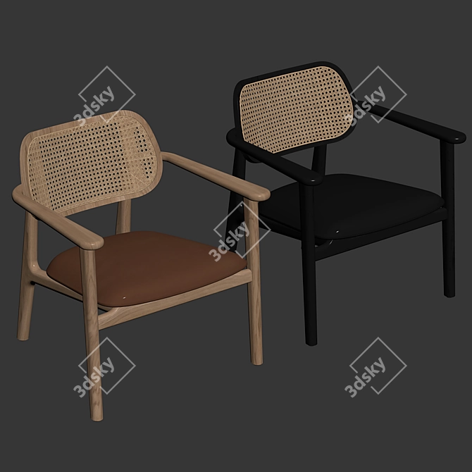 Title: Vincent Sheppard Titus Lounge Chair 3D model image 7