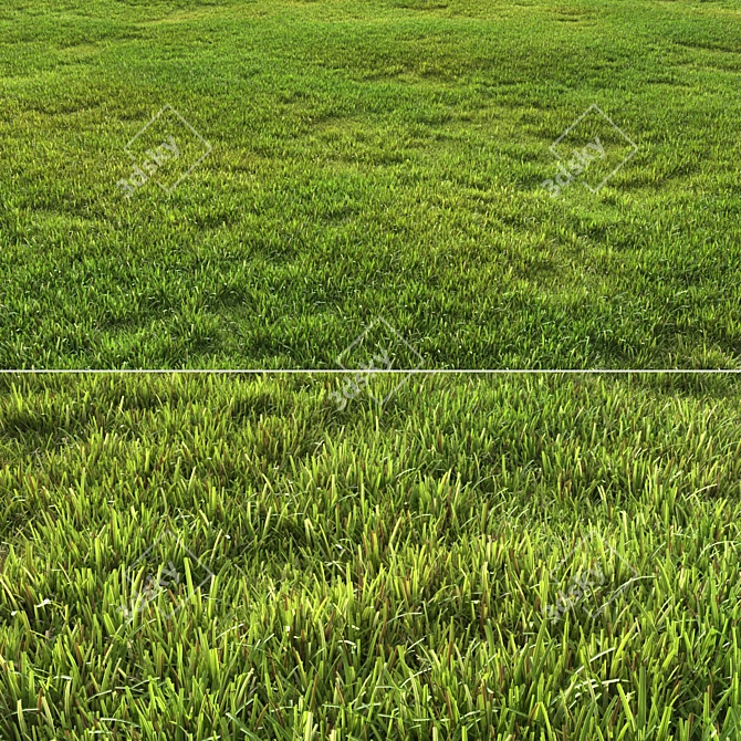 Versatile Grass Pack 3D model image 3