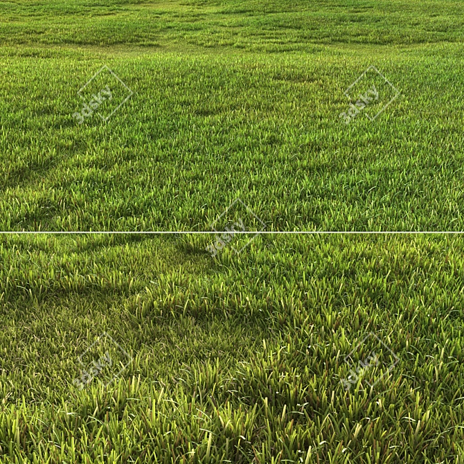 Versatile Grass Pack 3D model image 4