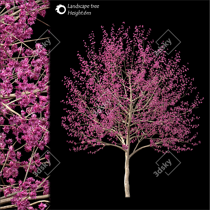 2014 Landscape Tree: 6m Height, Corona Render 3D model image 1