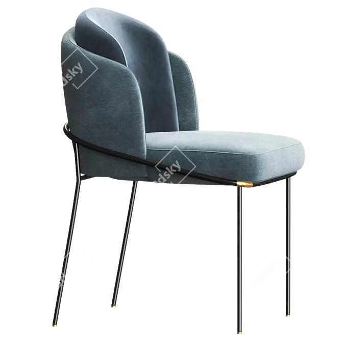 Luxurious FIL NOIR Chair: 2017 Version 3D model image 2
