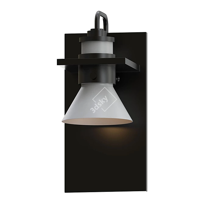 Elegant Dark Sky Outdoor Sconce 3D model image 1