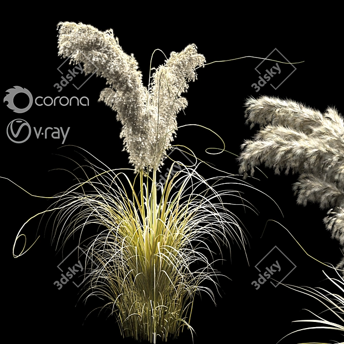 Pampas Bush 2013: V-Ray & Corona Compatible 3D model image 1