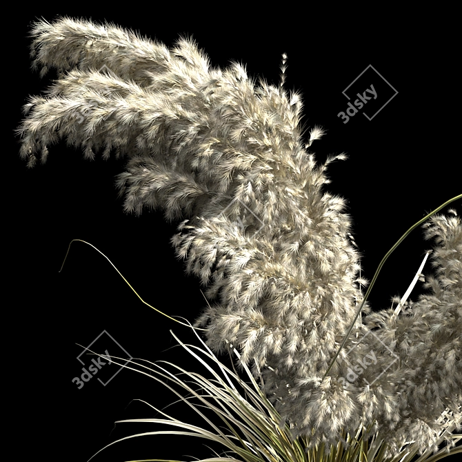 Pampas Bush 2013: V-Ray & Corona Compatible 3D model image 2