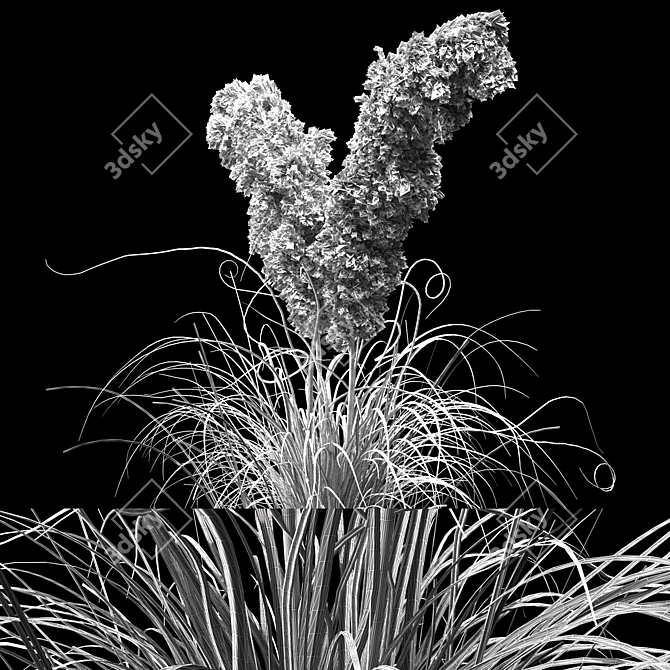 Pampas Bush 2013: V-Ray & Corona Compatible 3D model image 4