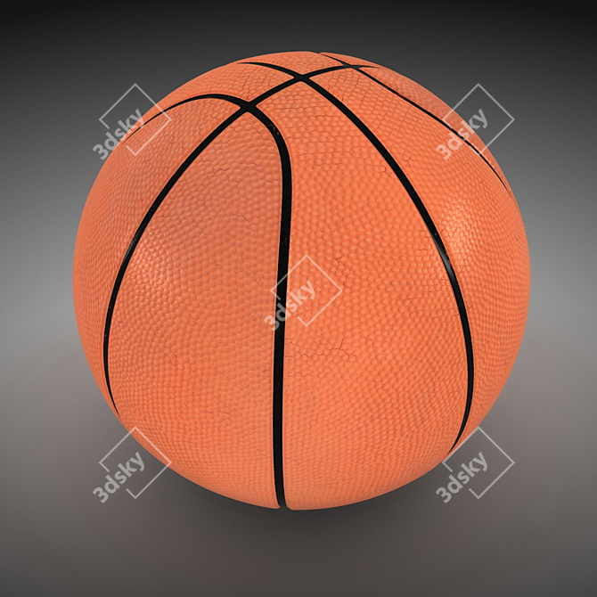 ProCourt Official Basketball - 30 cm 3D model image 2