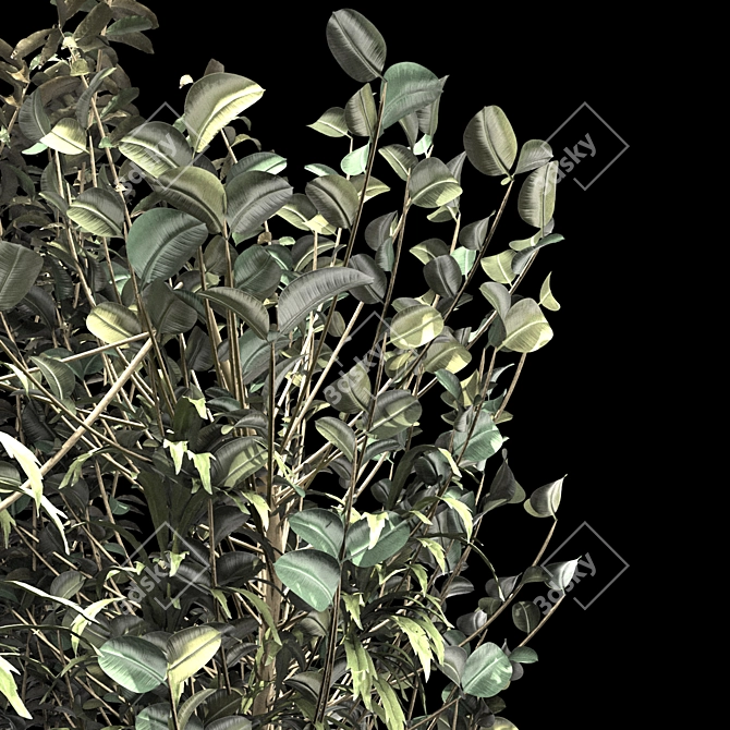 PBR-Ready Bush for Corona Render 3D model image 3