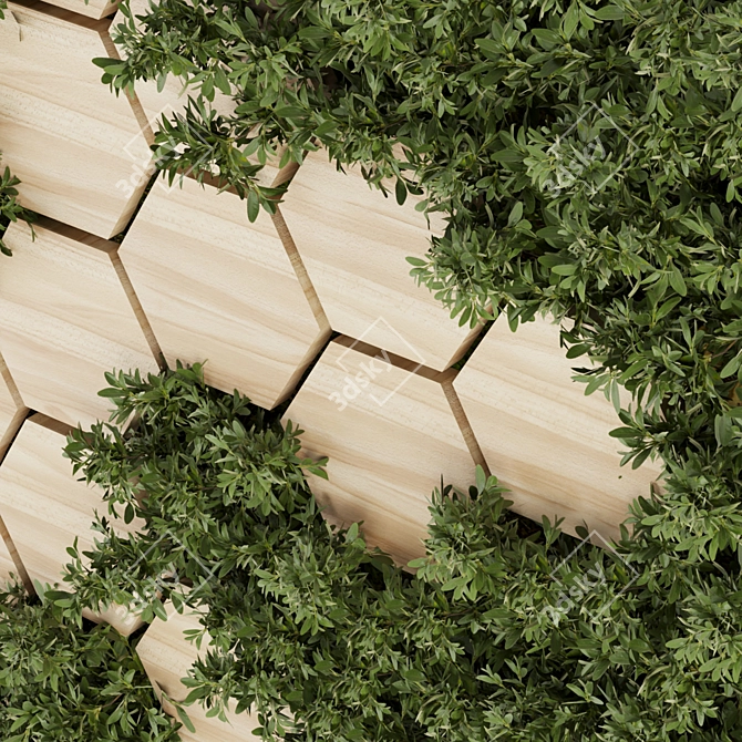 Fitowall Leaf Wood Plant Collection 3D model image 3