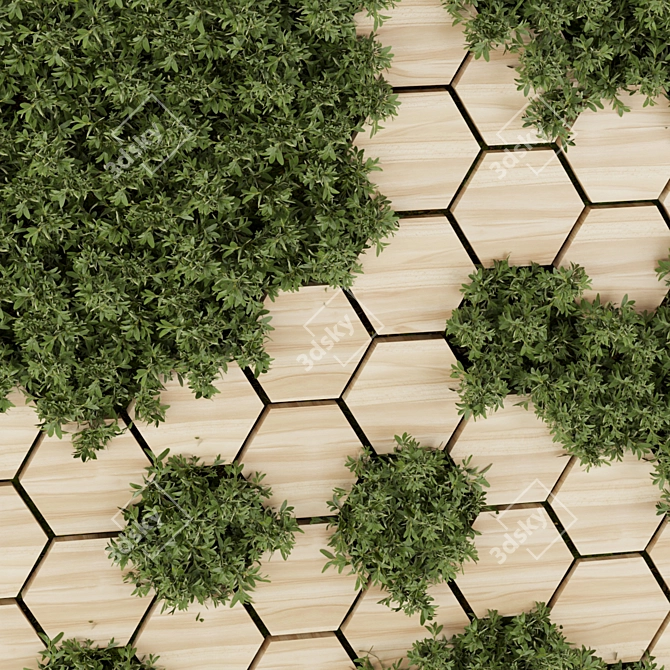 Fitowall Leaf Wood Plant Collection 3D model image 4