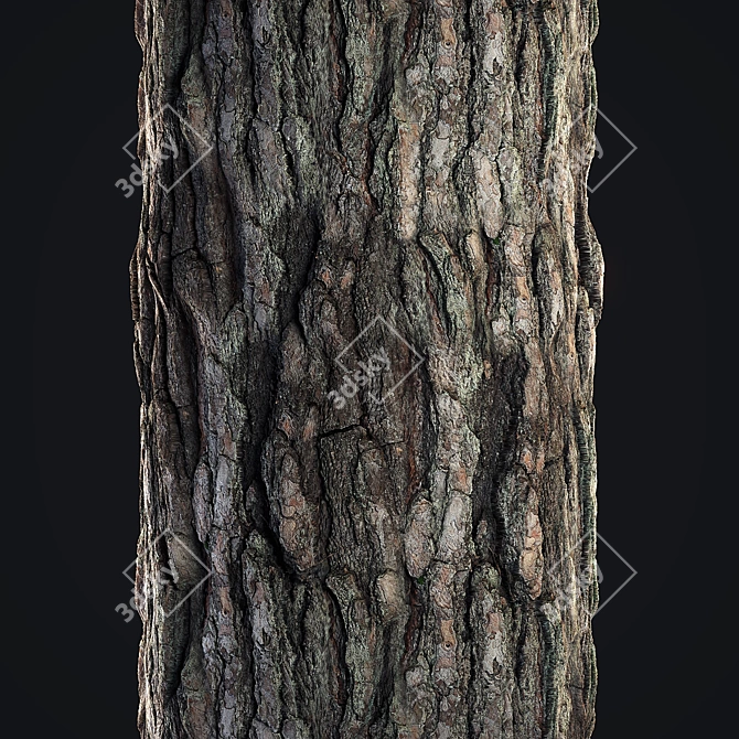 Seamless Pine Bark Texture 3D model image 3