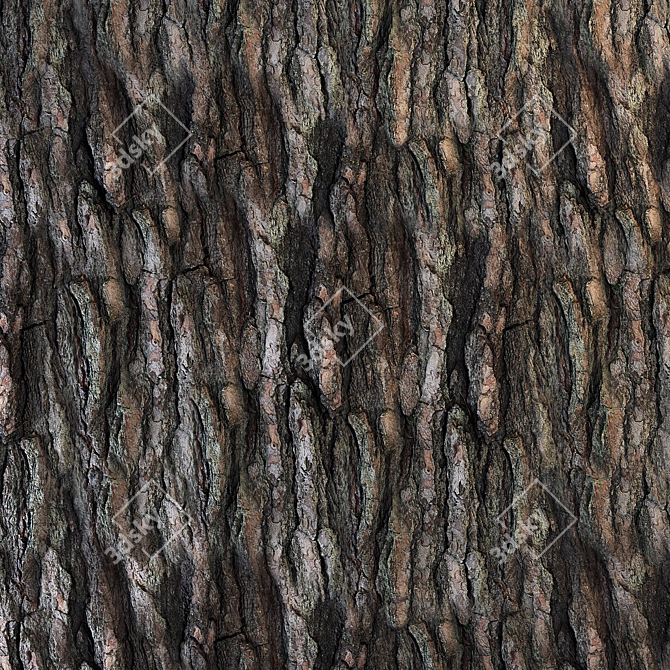 Seamless Pine Bark Texture 3D model image 4