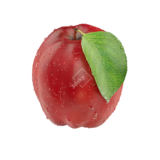 Apple Slice Texture Set 3D model image 3