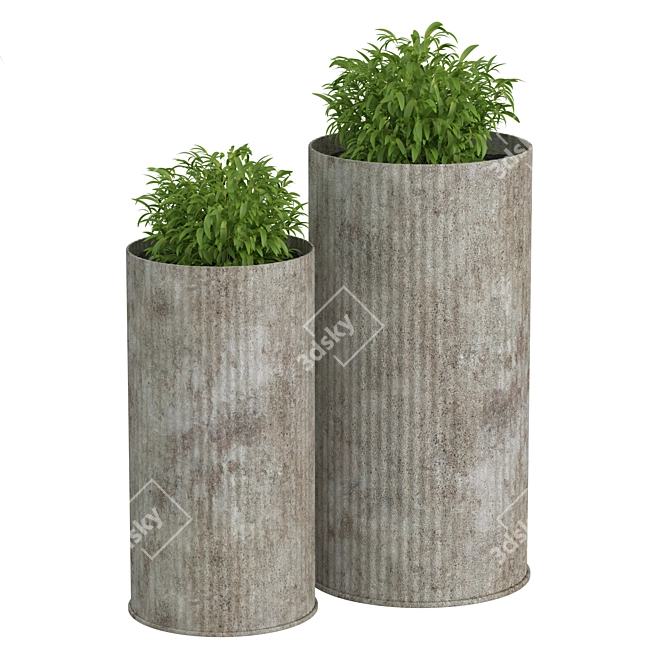 Double Greenery in Oversized Pots 3D model image 1