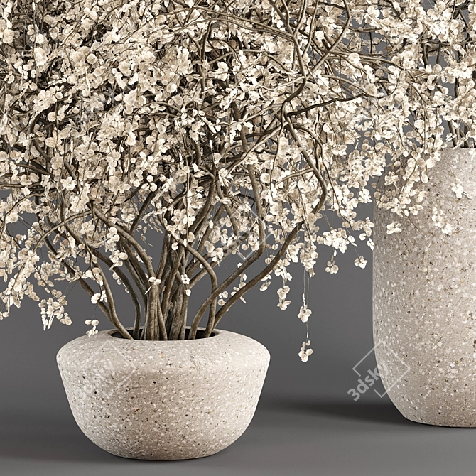 Concrete Vases with Branches 3D model image 2