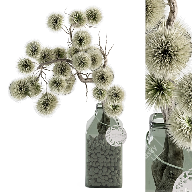 Stirlingia Dried Plant Bouquet 3D model image 1