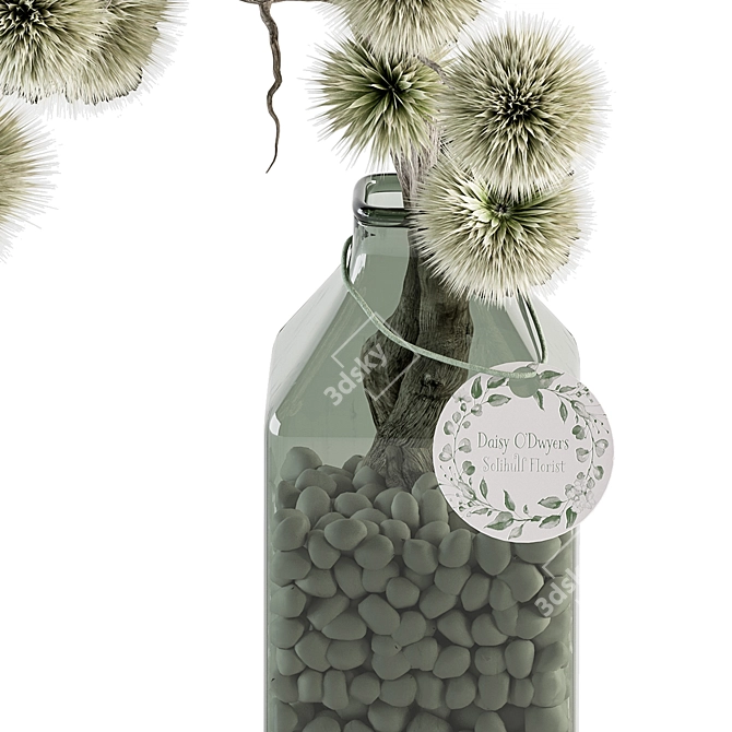 Stirlingia Dried Plant Bouquet 3D model image 3