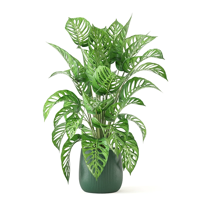 Indoor Oasis Collection: Set 282 3D model image 5