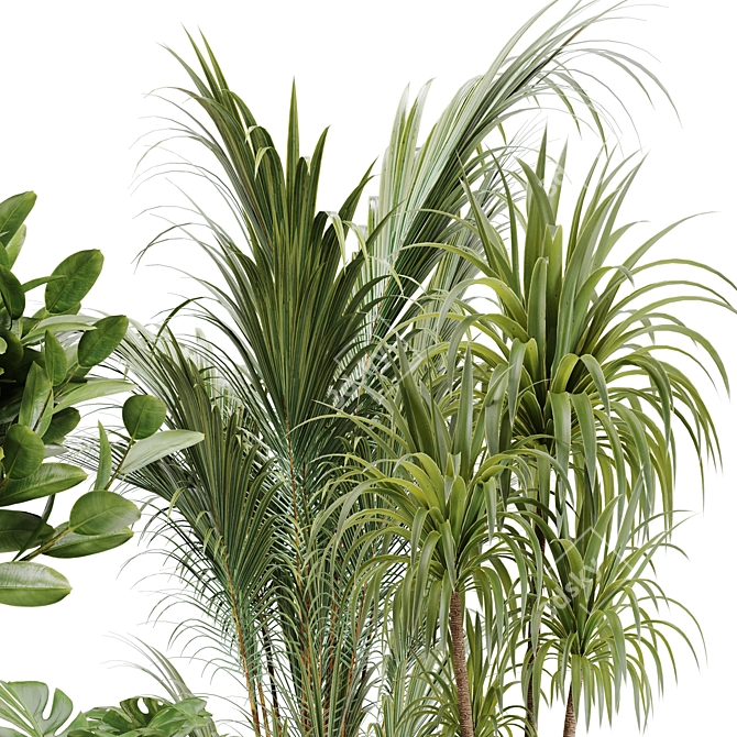 Tropical Paradise: Indoor Plant Set 3D model image 5