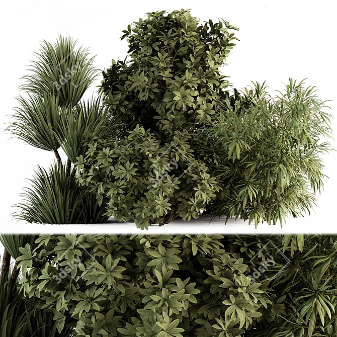 Tropical Box Tree Bush Set 3D model image 1