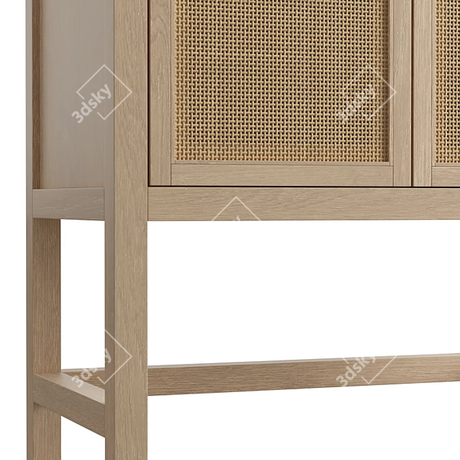 Boho Woven Cane Storage Cabinet 3D model image 5