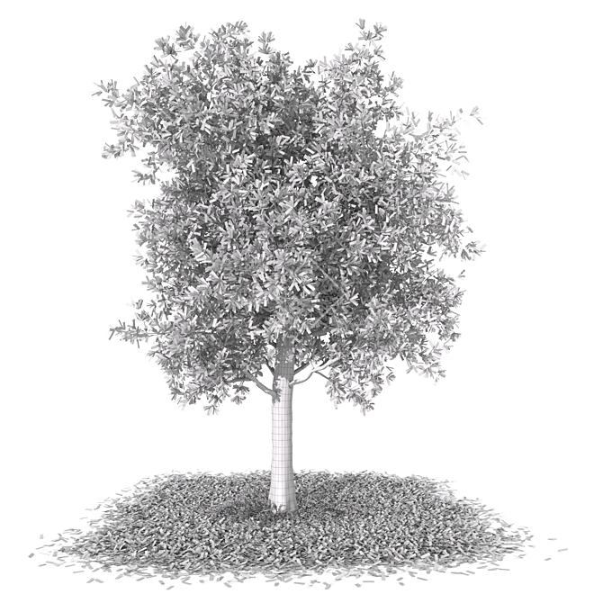 Autumn Butternut Tree 3D Model 3D model image 3