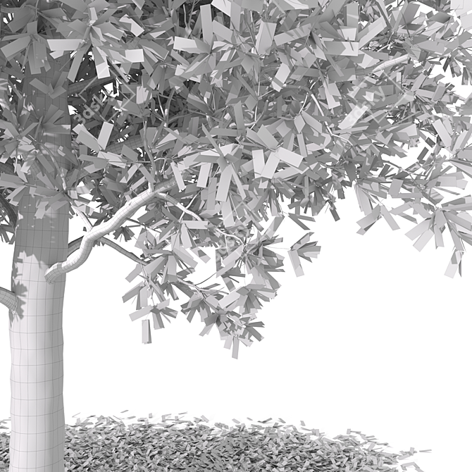 Autumn Butternut Tree 3D Model 3D model image 4