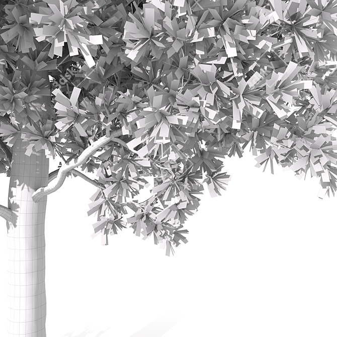  Majestic Butternut Tree Model 3D model image 4