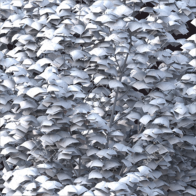 2014 Landscape Tree 5m Corona 3D model image 3