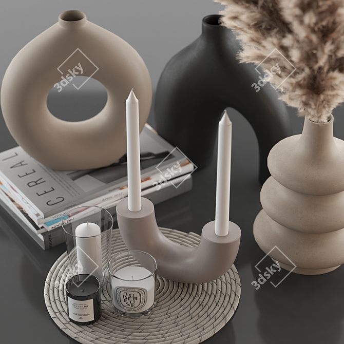 Pampas Zara Home Decor Set 3D model image 4