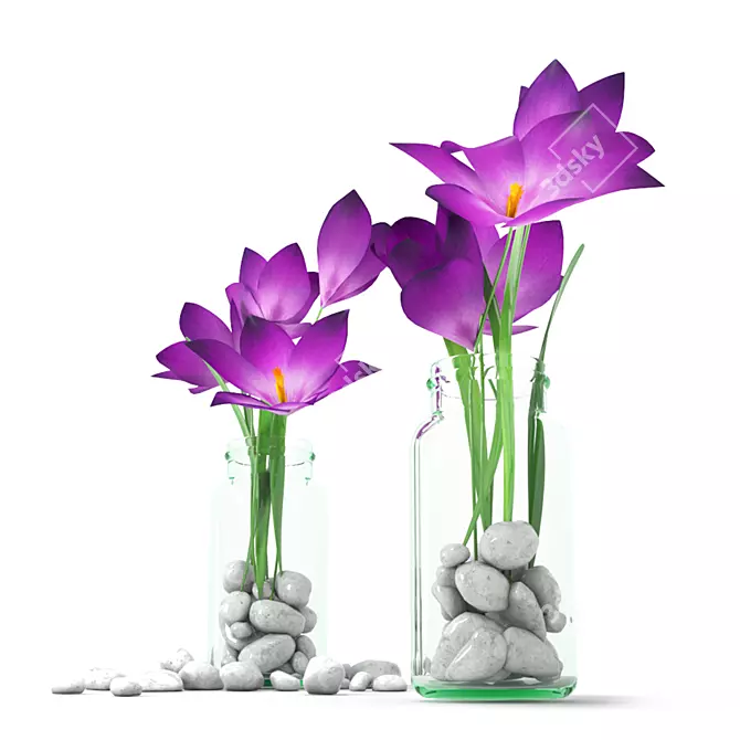 Crocuses in Glass Bottle 3D model image 5