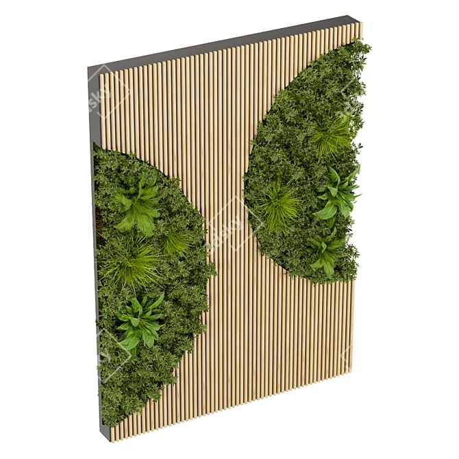 Premium Plant Collection 331: Fitowall Leaf 3D model image 2