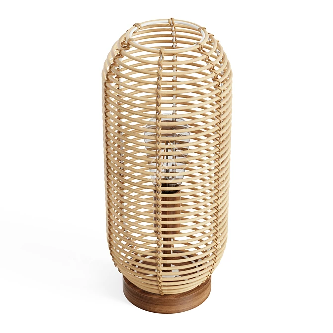 Boho Rattan Lantern Table Lamp 3D model image 1