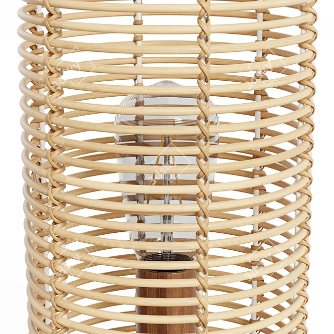 Boho Rattan Lantern Table Lamp 3D model image 4