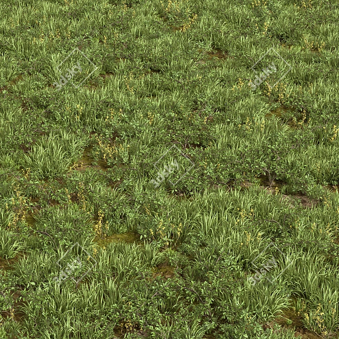 Mixed Grass Collection Pack 3D model image 1