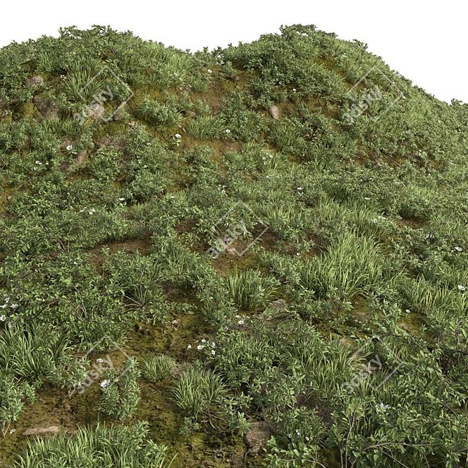Variety Grass Collection with Plane 3D model image 1