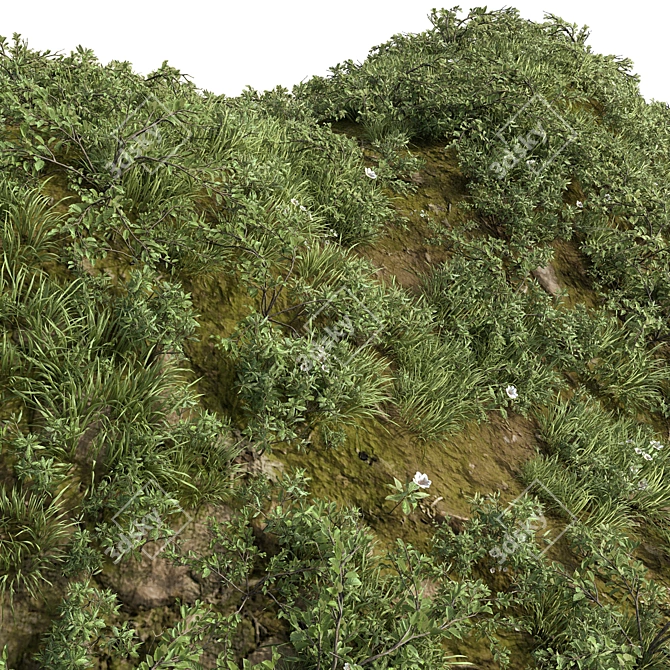 Variety Grass Collection with Plane 3D model image 2