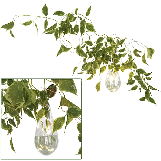 Elegant Hold Vessels for Any Space 3D model image 2