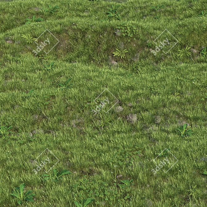 Corona Scatter Grass Collection Set 3D model image 1