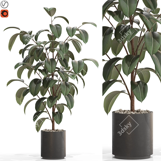 Greenery 702 Plant Collection 3D model image 1