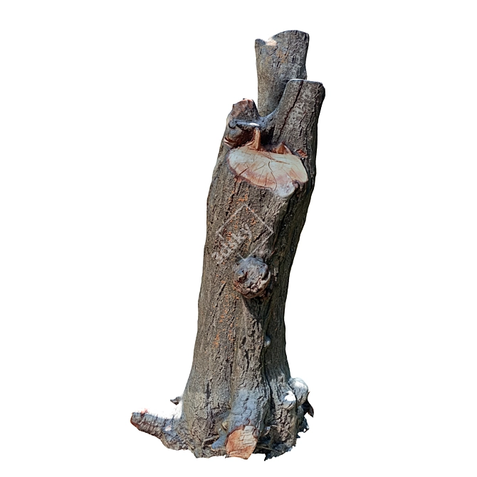 Vintage Trunk Model 2016 | 21,076 Polys 3D model image 5